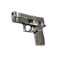 P250 Ре.конструкция