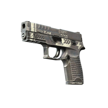 P250 Re.built