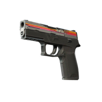 P250 Кассета