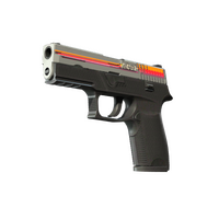 P250 Cassette