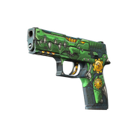 P250 See Ya Later