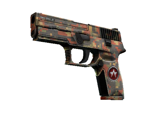 P250 | Red Rock (Well-Worn)