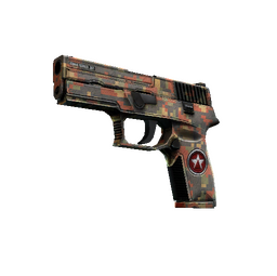 StatTrak™ P250 | Red Rock (Well-Worn)