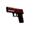 P250 | Muertos (Battle-Scarred)