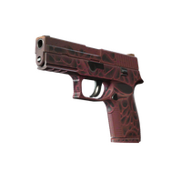P250 Contaminant