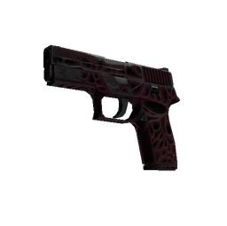 StatTrak™ P250 | Contaminant (Field-Tested)