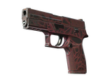 P250 | Загрязнитель