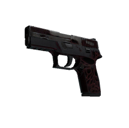 P250 | Contaminant (Battle-Scarred)