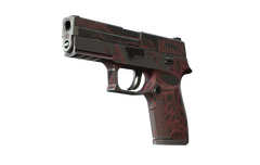 P250 | Contaminant