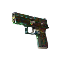 P250 Visions