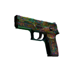 P250 | Visions (Battle-Scarred)