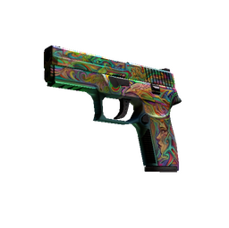 StatTrak™ P250 | Visions (Well-Worn)