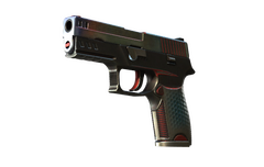 P250 | Cyber Shell