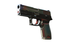 P250 | Cyber Shell