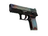 P250 | Cyber Shell