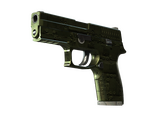 P250 | Железное покрытие