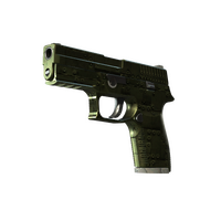 P250 Iron Clad