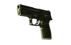 P250 | Iron Clad