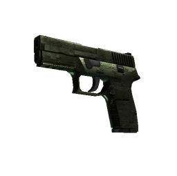 StatTrak™ P250 | Iron Clad (Field-Tested)