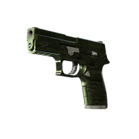 P250 Iron Clad