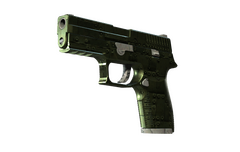 P250 | Iron Clad