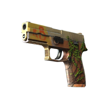 P250 | Inferno image 360x360