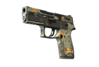 P250 | Modern Hunter