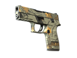 P250 | Современный охотник