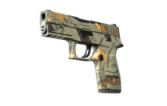 P250 | Modern Hunter