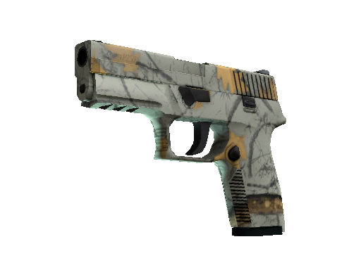 P250 | Cazador moderno