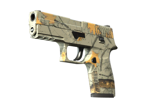 P250 | Modern Hunter (Minimal Wear)