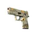 P250 | Modern Hunter image 120x120