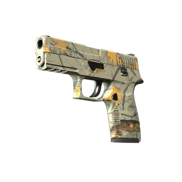 P250 | Modern Hunter image 360x360