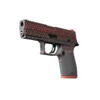 P250 | Малиновое кимоно