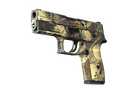 P250 | Contamination