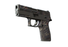 P250 | Facility Draft