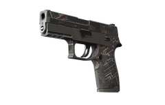 P250 | Facility Draft
