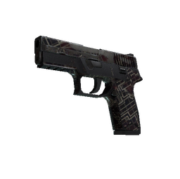 P250 | Facility Draft (Battle-Scarred)