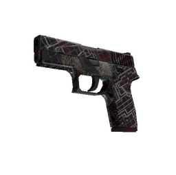 P250 | Facility Draft (Field-Tested)