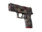 P250 | Facility Draft (Minimal Wear)