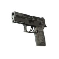 P250 Facets