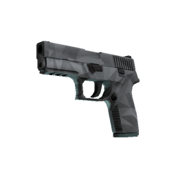 P250 | Facets (Factory New)