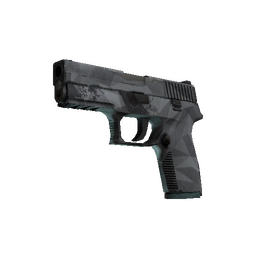 P250 | Facets (Well-Worn)