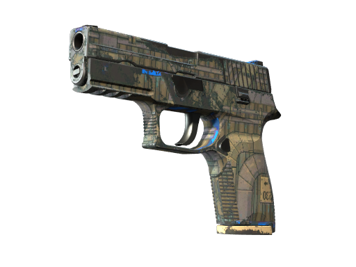 Souvenir P250 | Exchanger (Well-Worn)