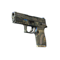 P250 Exchanger