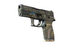 P250 | Exchanger