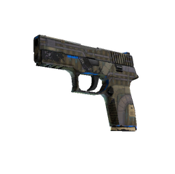 Souvenir P250 | Exchanger (Well-Worn)