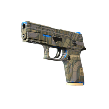 P250 | Exchanger image 360x360