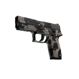 Souvenir P250 | Black & Tan (Field-Tested)