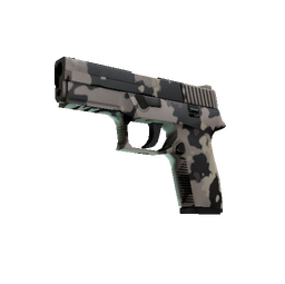 Souvenir P250 | Black & Tan (Factory New)